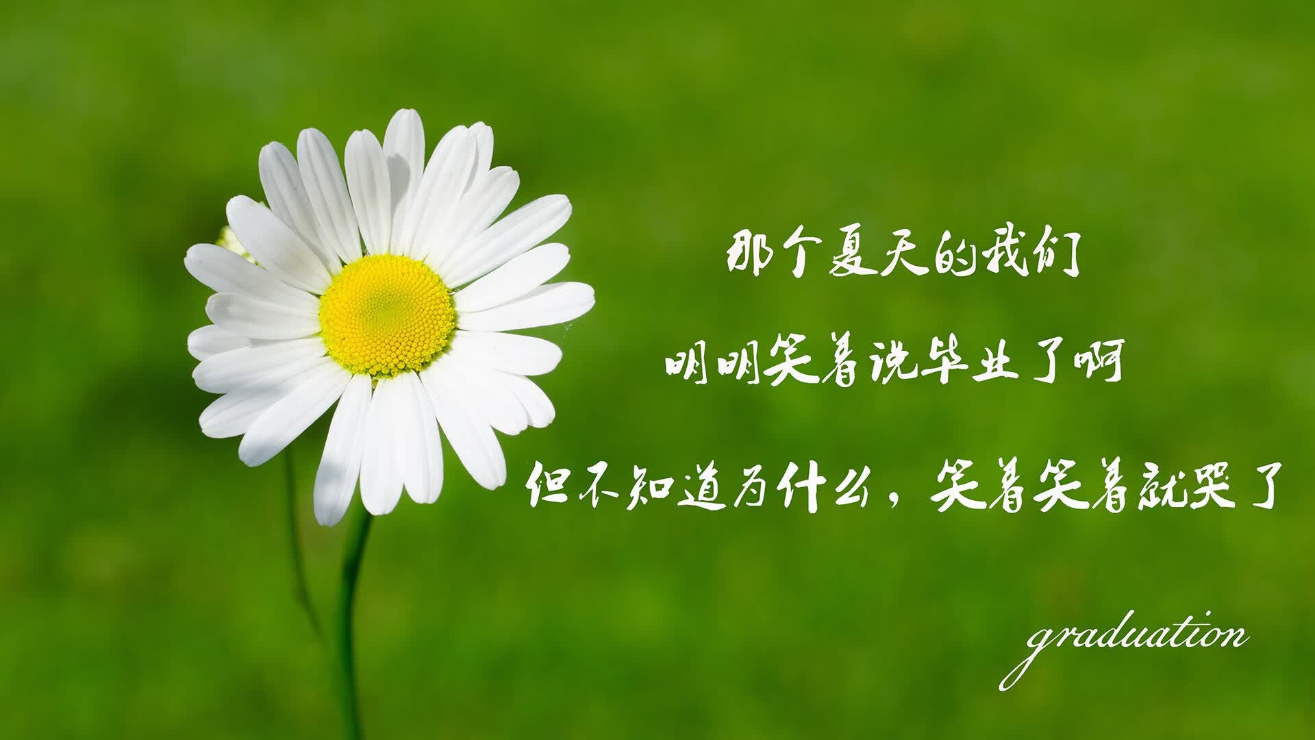 世界举重青训营康复训练课堂教学视频付费上线,世界举重青年锦标赛